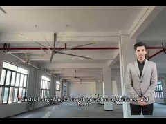 5.0M 16FT Grandi ventilatori per una circolazione ottimale dell'aria negli spazi scolastici e dei palestri