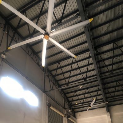 Un buon prezzo. Ventilatore HVLS a motore BLCD per grandi magazzini in linea