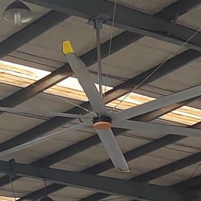 Un buon prezzo. 5.5m 18FT ventilatore di soffitto HVLS per ristorante diretto e impianti di produzione ad alta tensione in linea