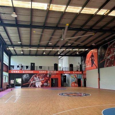 Un buon prezzo. 8-24FT Grandi ventilatori industriali per la ventilazione del basket AC Corrente elettrica Tipo lame Materiale alluminio in linea