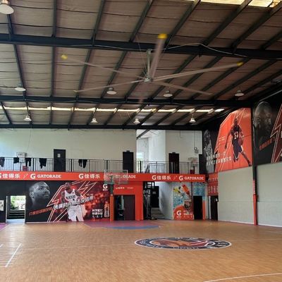 Un buon prezzo. 24 ft (7,3 metri) HVls Ventilatore di soffitto industriale per la ventilazione del basket in linea