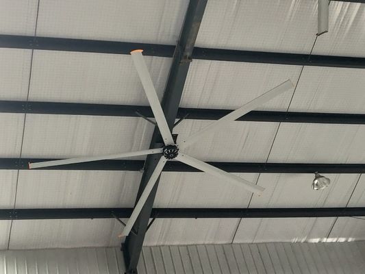 Un buon prezzo. Centro sportivo di basket 5.4M 17ft 1.5KW Long Blade Ceiling Fan in linea