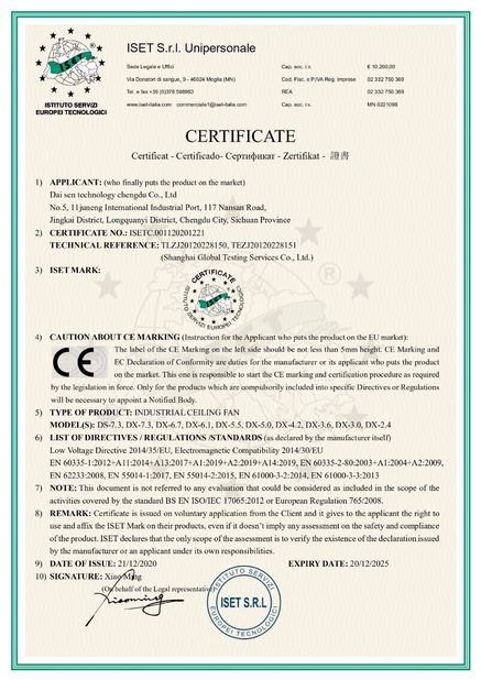 Porcellana Daisen Technology Chengdu Co., Ltd. Certificazioni